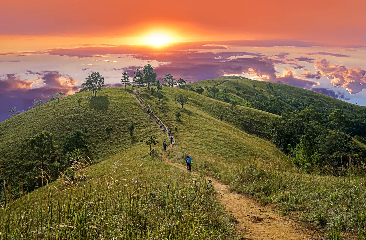 Lĩnh vực hoạt động Lạc Việt Tourist